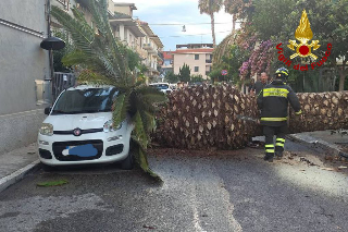 Maltempo, tromba marina al largo di San Benedetto e palma caduta su auto
